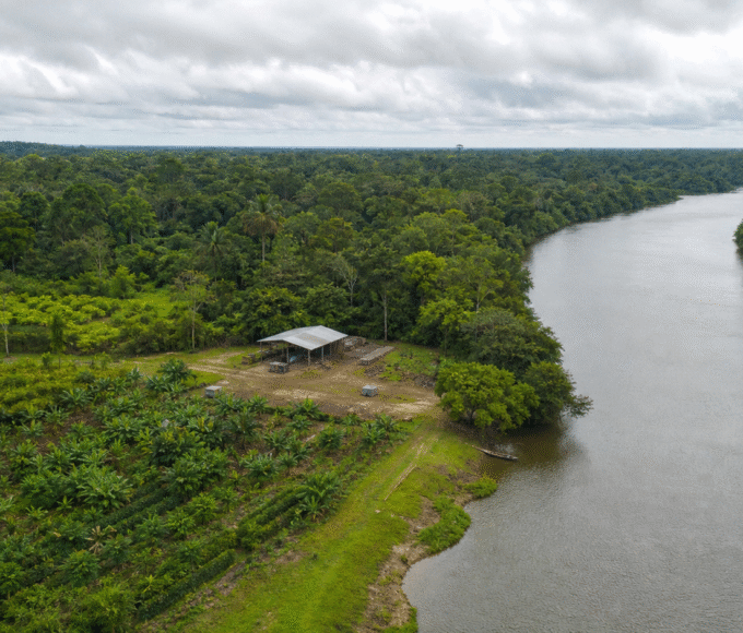 Edital Amazônia Viva seleciona 40 projetos para produção rural sustentável