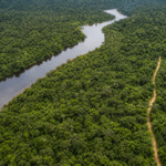 Edital abre concessão florestal de 267 mil hectares na Flona de Balata-Tufari
