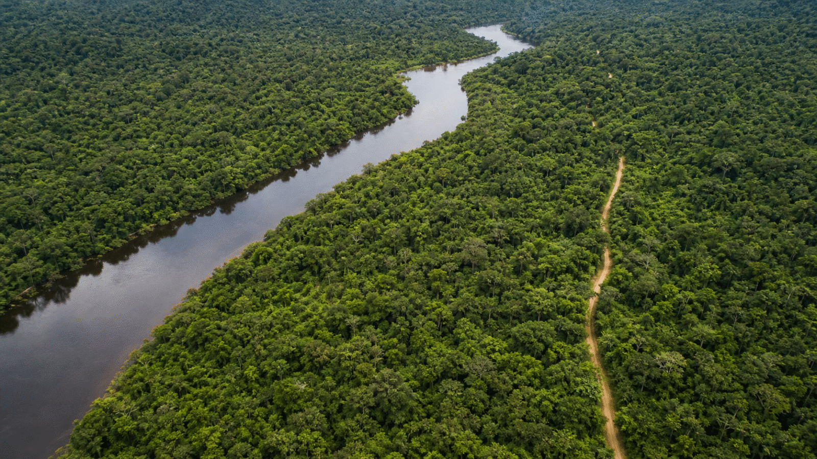 Edital abre concessão florestal de 267 mil hectares na Flona de Balata-Tufari