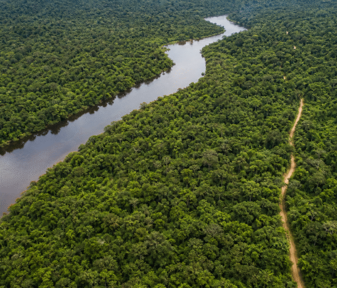 Edital abre concessão florestal de 267 mil hectares na Flona de Balata-Tufari