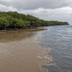 Impactos da Barragem de Fundão no sul da Bahia serão debatidos na Câmara