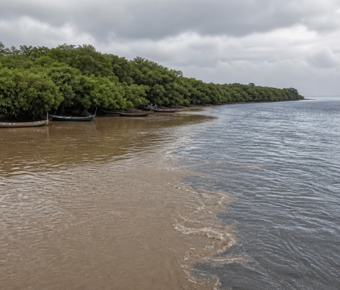 Impactos da Barragem de Fundão no sul da Bahia serão debatidos na Câmara