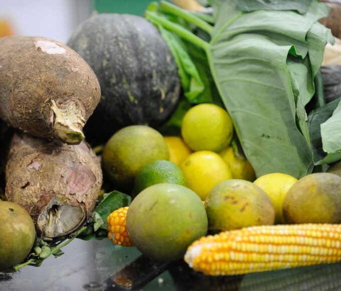 Alimentos orgânicos