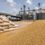 Leilão da Conab negocia 22,7 mil toneladas de arroz do Rio Grande do Sul