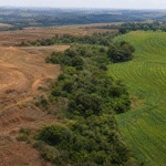 Lideranças defendem integração entre clima, biodiversidade e solo no Rio