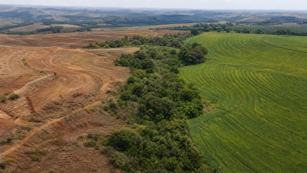 Lideranças defendem integração entre clima, biodiversidade e solo no Rio
