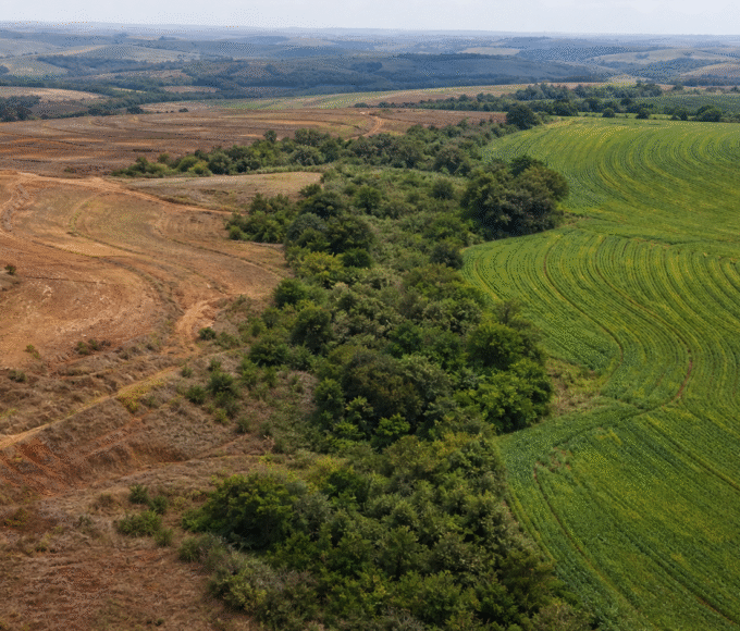 Lideranças defendem integração entre clima, biodiversidade e solo no Rio