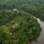 OCDE aponta BNDES como peça-chave para bioeconomia na Amazônia