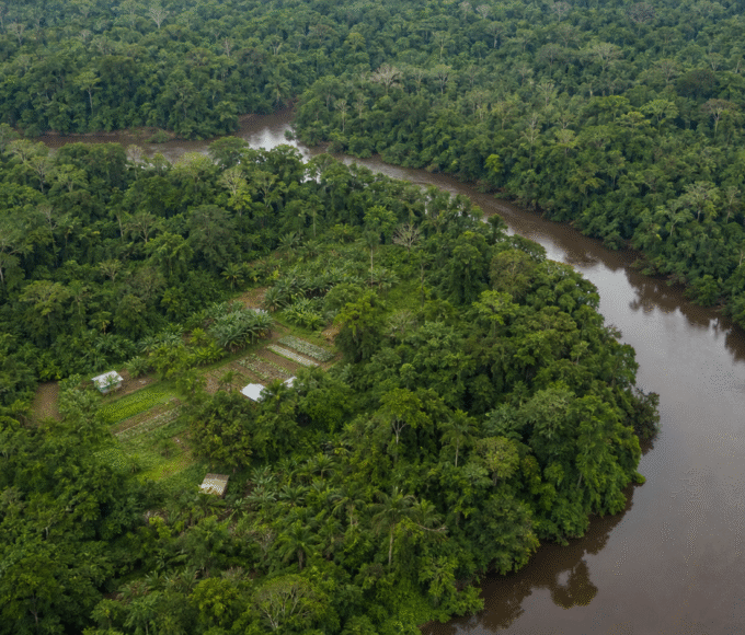 OCDE aponta BNDES como peça-chave para bioeconomia na Amazônia