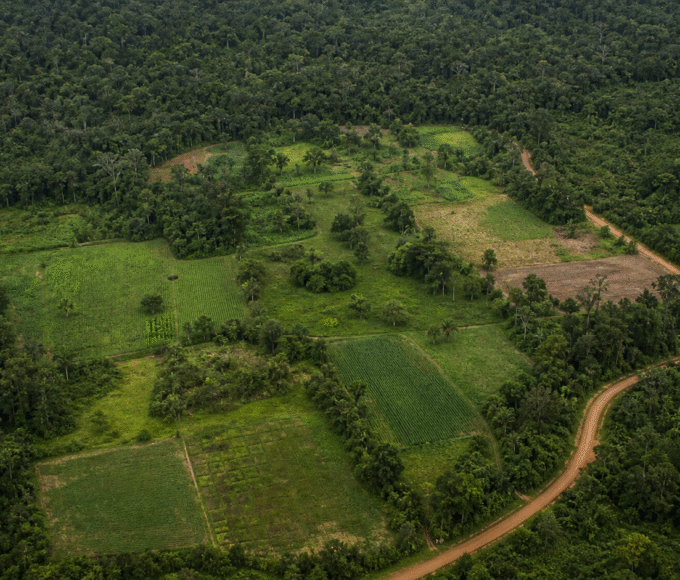 Parcerias ampliam renda e reforçam conservação em áreas produtivas da Amazônia