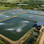 Produção sustentável de tilápias avança com aprovação de projeto em comissão da Câmara