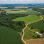 Projeto prevê consulta a entidades do agro em regulamentações do ITR