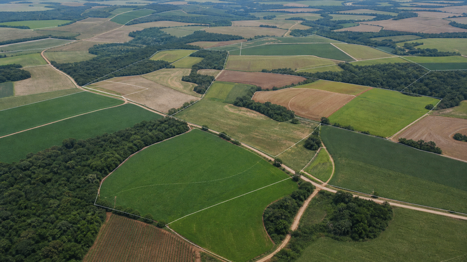 Projeto que suspende demarcação de terra indígena no Paraná avança na Câmara