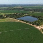 Secretaria da Agricultura do RS completa 91 anos com programas voltados ao agro