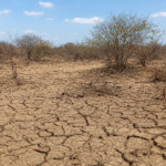 Seminário em Recife debate desertificação e justiça ambiental no Semiárido