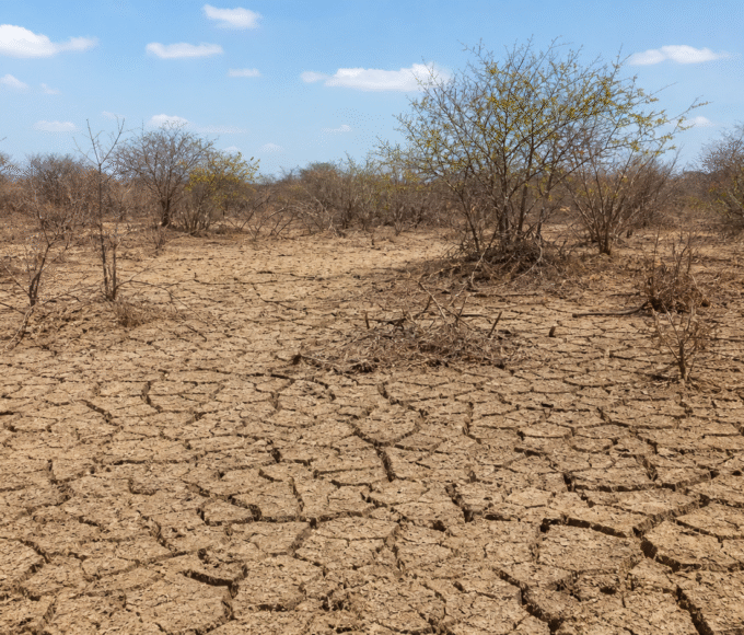 Seminário em Recife debate desertificação e justiça ambiental no Semiárido