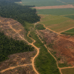 Seminário na Câmara vai discutir crimes ambientais, agronegócio e fundos de investimento