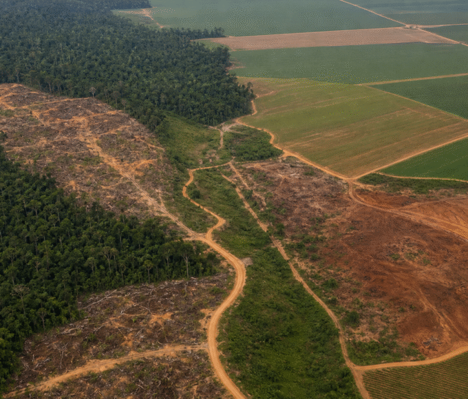 Seminário na Câmara vai discutir crimes ambientais, agronegócio e fundos de investimento