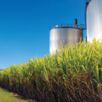 etanol usina cana - produção industrial - mato grosso