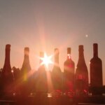 Trump ameaça França com tarifa de 100% sobre vinhos e champanhes