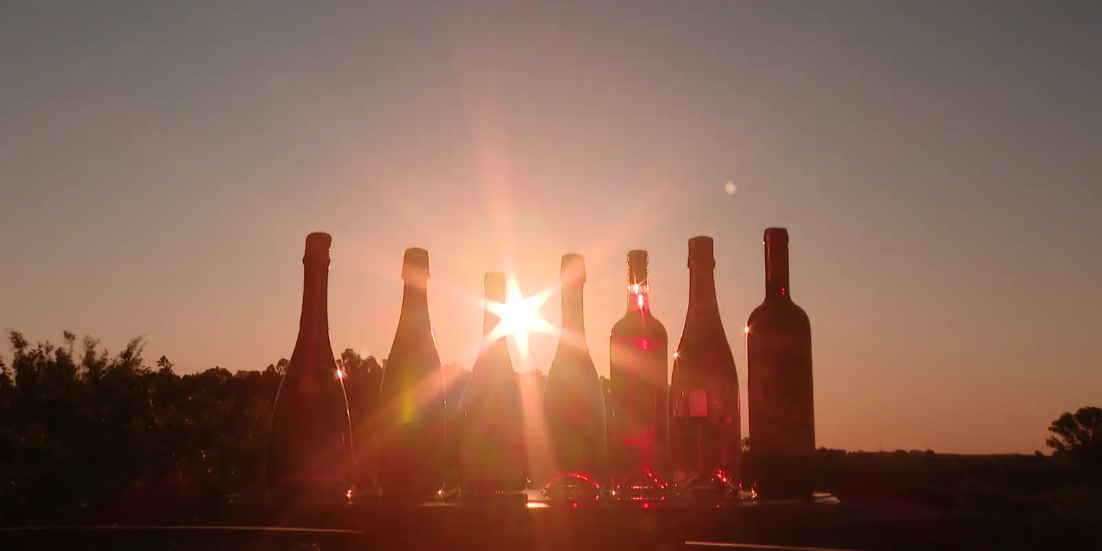 Trump ameaça França com tarifa de 100% sobre vinhos e champanhes
