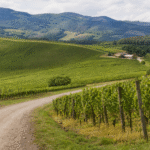 Turismo rural em Santa Catarina será debatido em audiência na Câmara