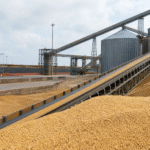 USDA informa venda de 190 mil toneladas de farelo de soja dos EUA para as Filipinas