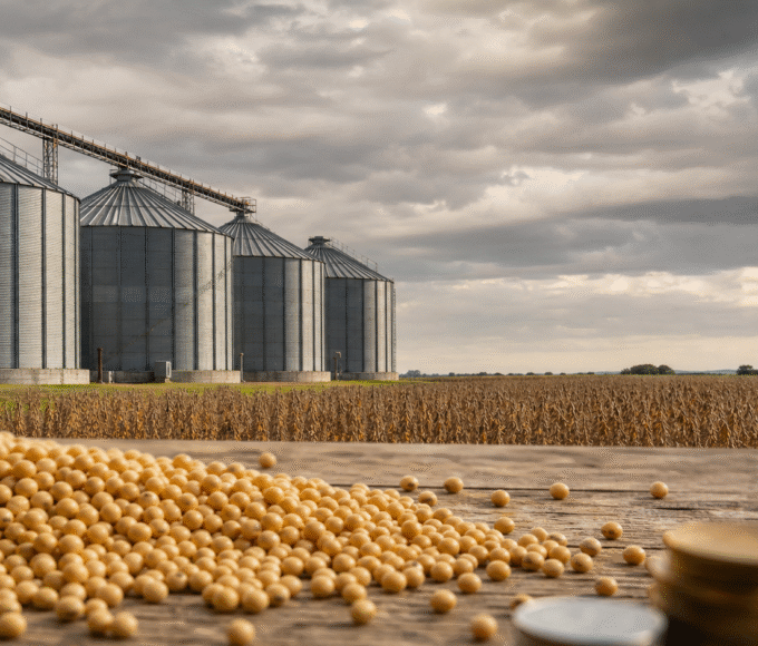 Uso do Fundo Social para dívidas do agro pode pressionar oferta de crédito, diz Moretti