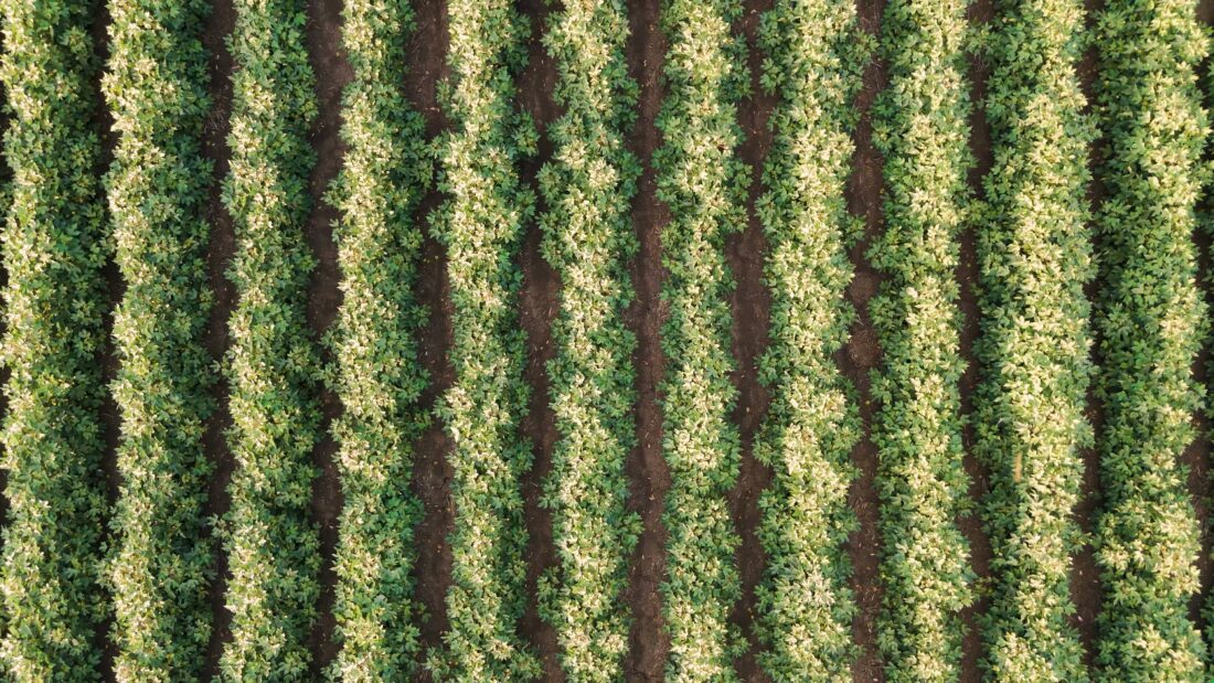 Agricultura regenerativa