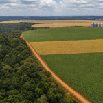 Coalizão apresenta 8 propostas do agro e do clima a presidenciáveis de 2026