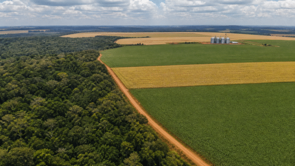 Coalizão apresenta 8 propostas do agro e do clima a presidenciáveis de 2026