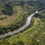 Edital destina R$ 618,75 milhões para restaurar 12,5 mil hectares na Bacia do Rio Doce