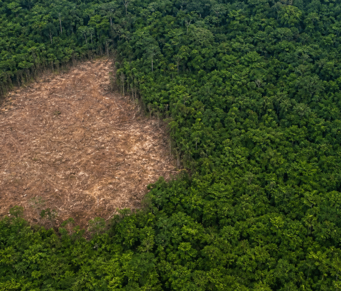 Imazon aponta queda de 10% no desmatamento da Amazônia no primeiro semestre