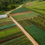 MDA retoma GT do Plano Safra com oficina sobre agricultura familiar