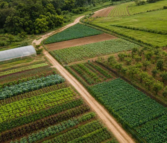 MDA retoma GT do Plano Safra com oficina sobre agricultura familiar