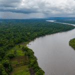 Projeto cria diretrizes de segurança alimentar climática para a Amazônia Legal