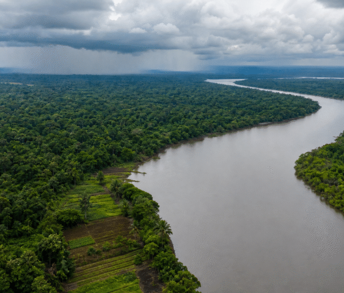 Projeto cria diretrizes de segurança alimentar climática para a Amazônia Legal