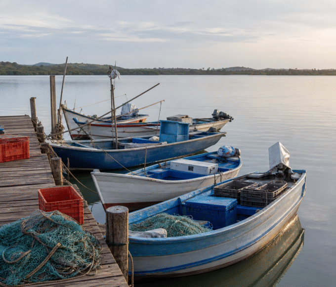 Seguro-defeso retroativo começa a ser pago a pescadores artesanais