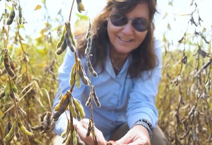 Sustentabilidade dá resultado para a soja? Fazenda mostra que preservação e meio ambiente caminham juntos
